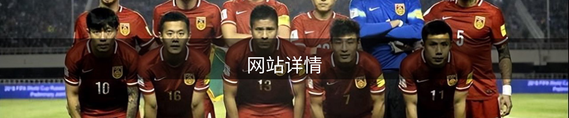 网站详情
